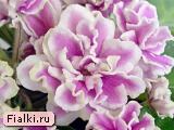 Посмотреть розетку