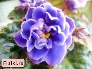 Посмотреть розетку