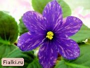 Посмотреть розетку