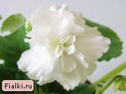 Посмотреть розетку