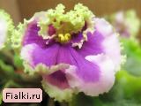 Мистическая Русалка