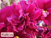 Посмотреть розетку