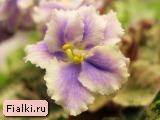 Shirl's Ruffled Petticoat