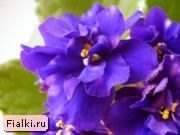 Посмотреть розетку
