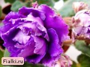 Посмотреть розетку