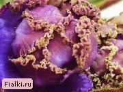 Посмотреть розетку