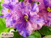 Посмотреть розетку