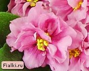 Посмотреть розетку