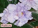 РС-Карусель