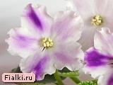 РС-Точный Удар
