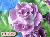 РС-Чары