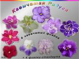 Новикова % набор новичка «Каемчатая Радуга»