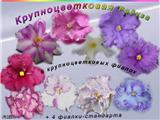 Карпенко % набор новичка «Крупноцветковая Радуга»