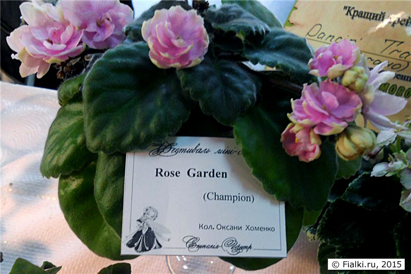 Rose Garden2