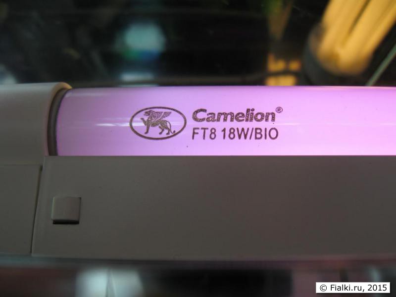 Лампа camelion ft8 36w bio 20151012122500 0800 0600 13852 Домострой