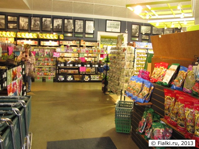 store