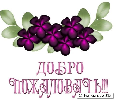 добро пожаловать