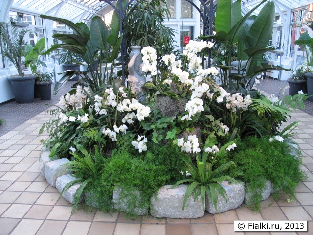 flower bed