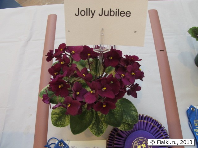 Jolly Jubilee