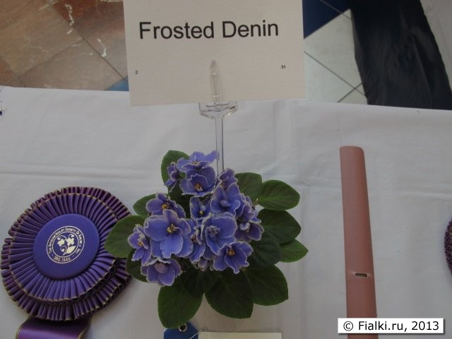 Frosted Denin
