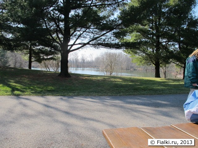 lake view