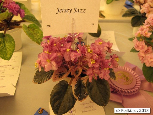 Jersey Jazz