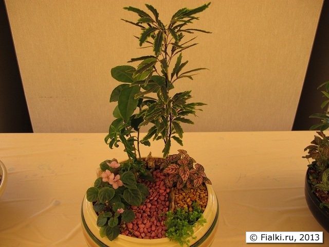 design