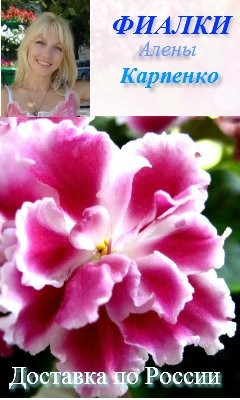 банер-карпенко
