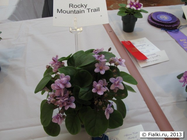 Rocky Mountain Trail