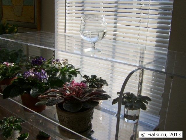 shelves