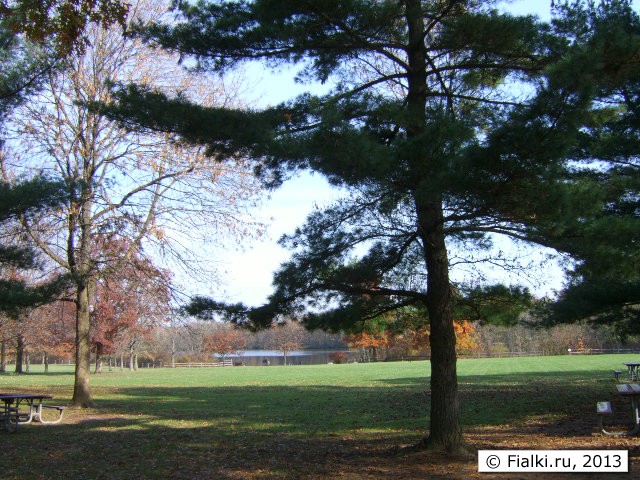 lake view