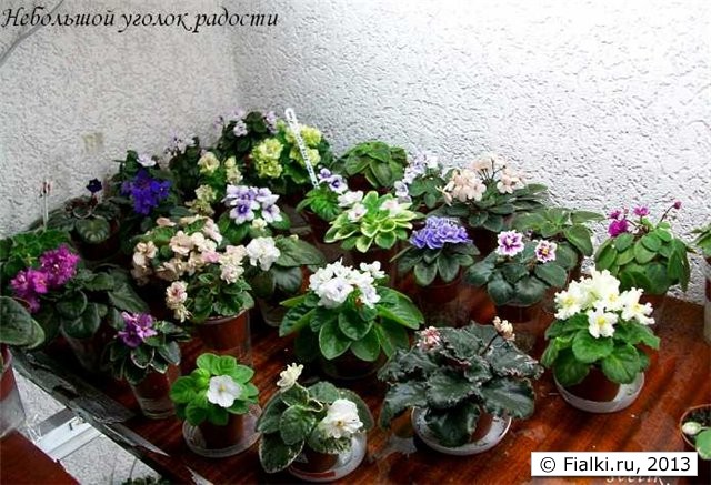 уголок радости