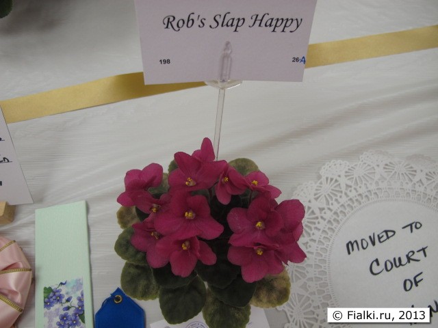 plant