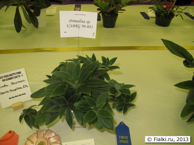 plant