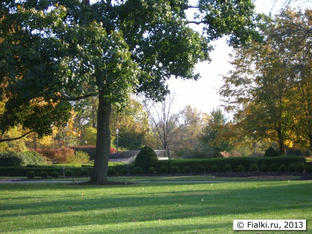 fall