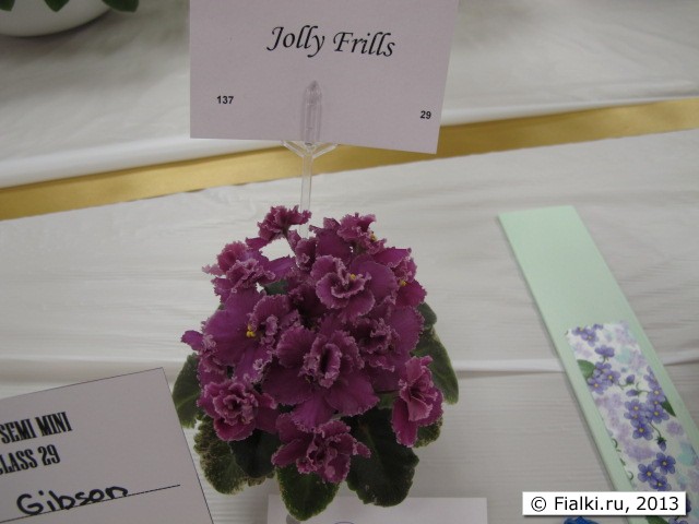 plant