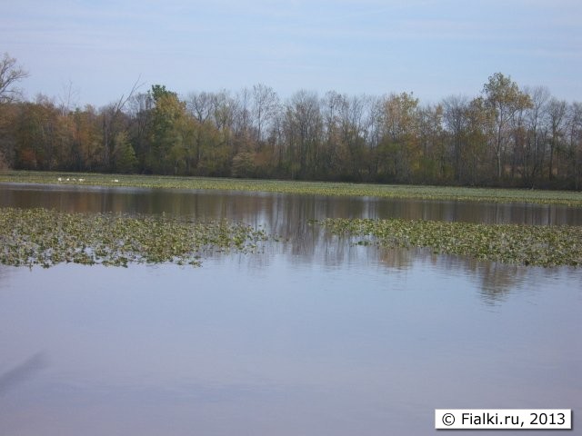 lake-mirror 2