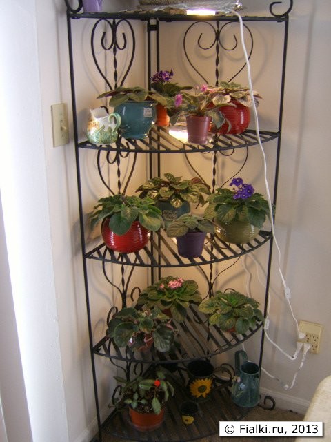 corner shelves