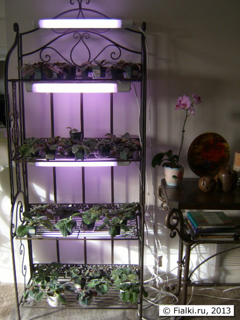 baker rack
