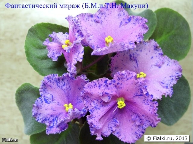 Фантастический мираж