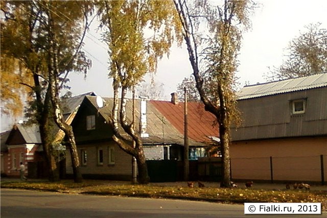куры на улице