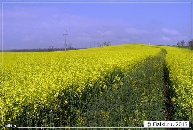 Широка страна моя родная