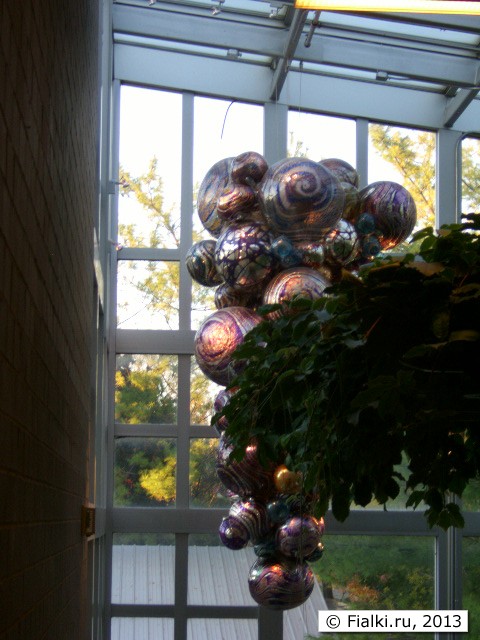 balls