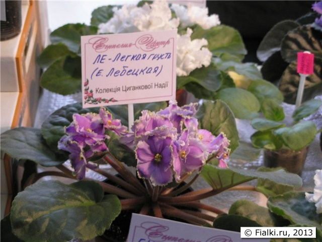 легкая грусть