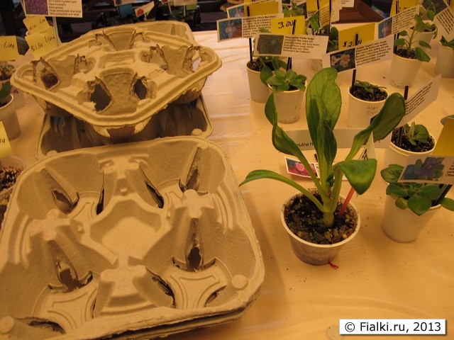 sale table