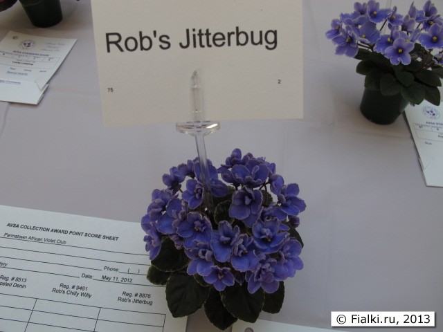 Rob's Jitterbug