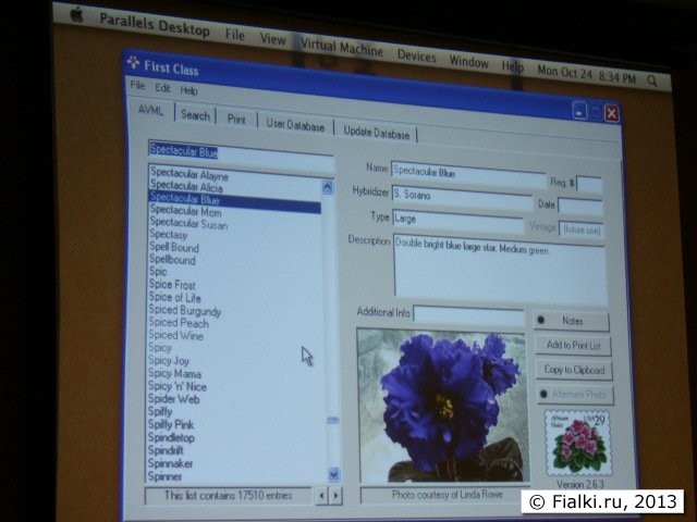 program 