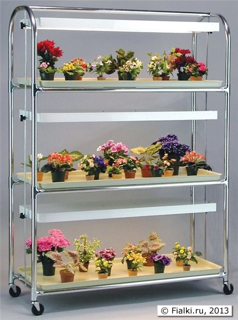 shelves