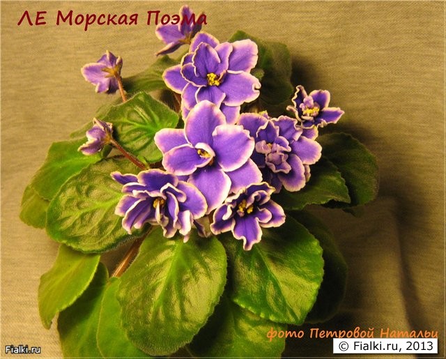 Морская Поэма