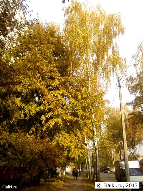 осенняя улица
